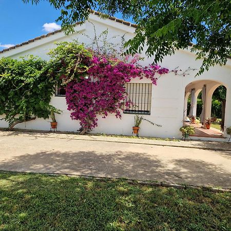 Casa En El Campo Cerca De Sevilla La Rinconada Esterno foto