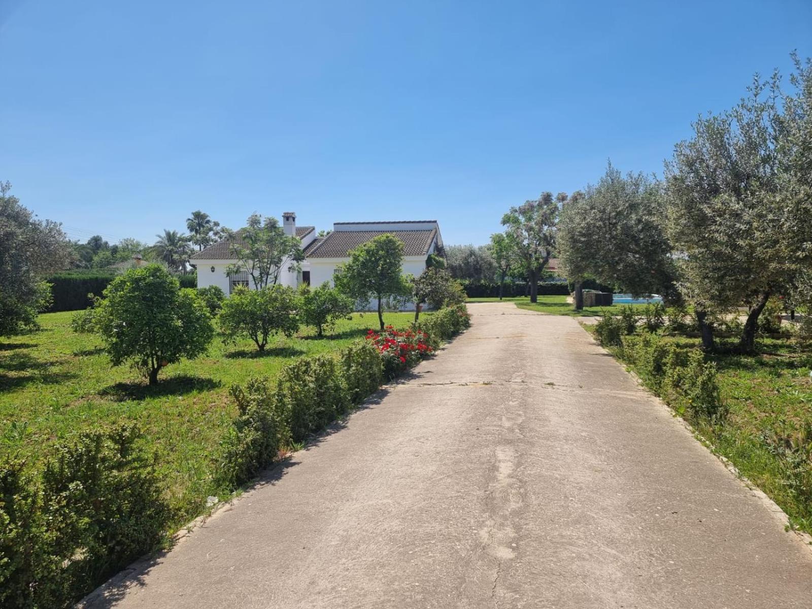 Casa En El Campo Cerca De Sevilla La Rinconada Esterno foto