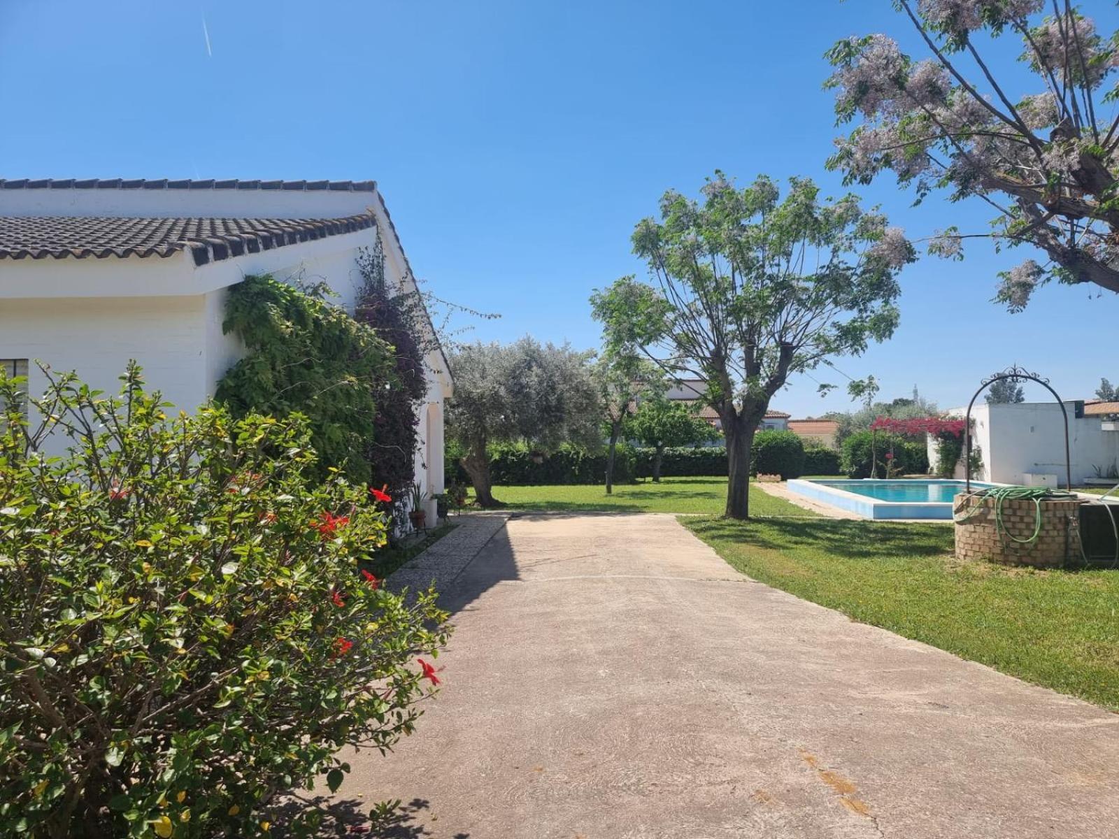 Casa En El Campo Cerca De Sevilla La Rinconada Esterno foto