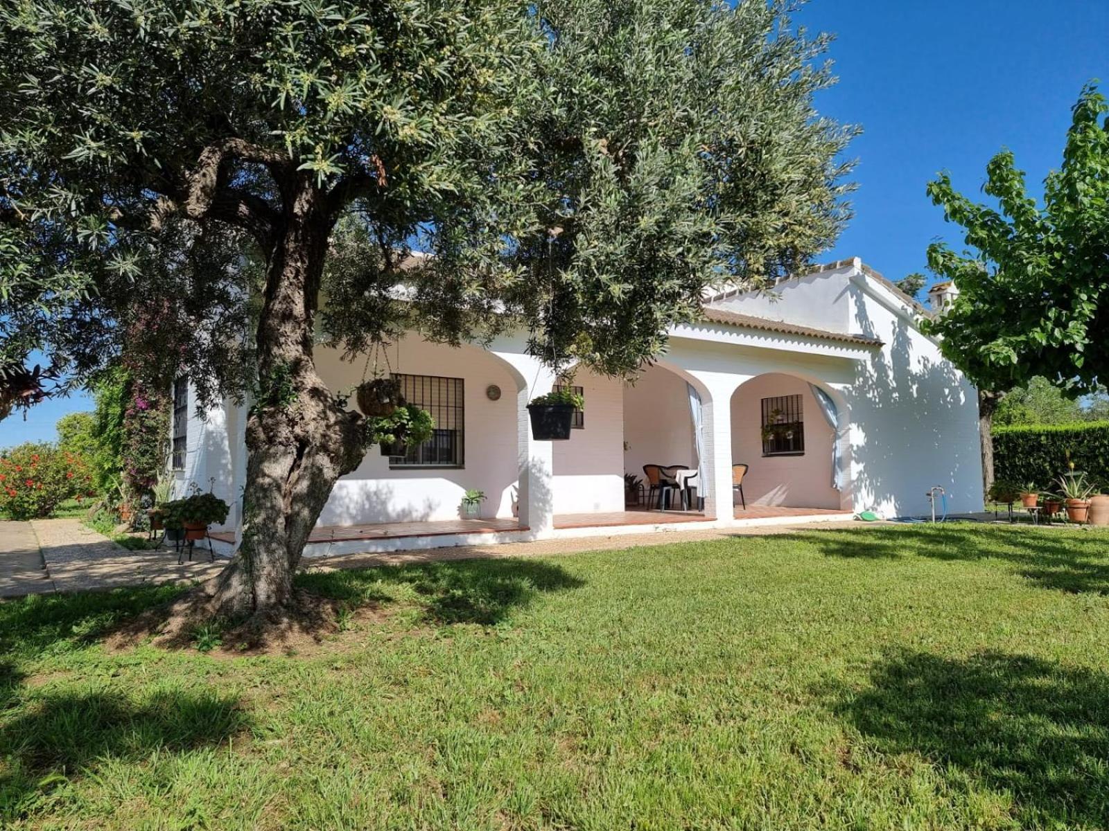 Casa En El Campo Cerca De Sevilla La Rinconada Esterno foto