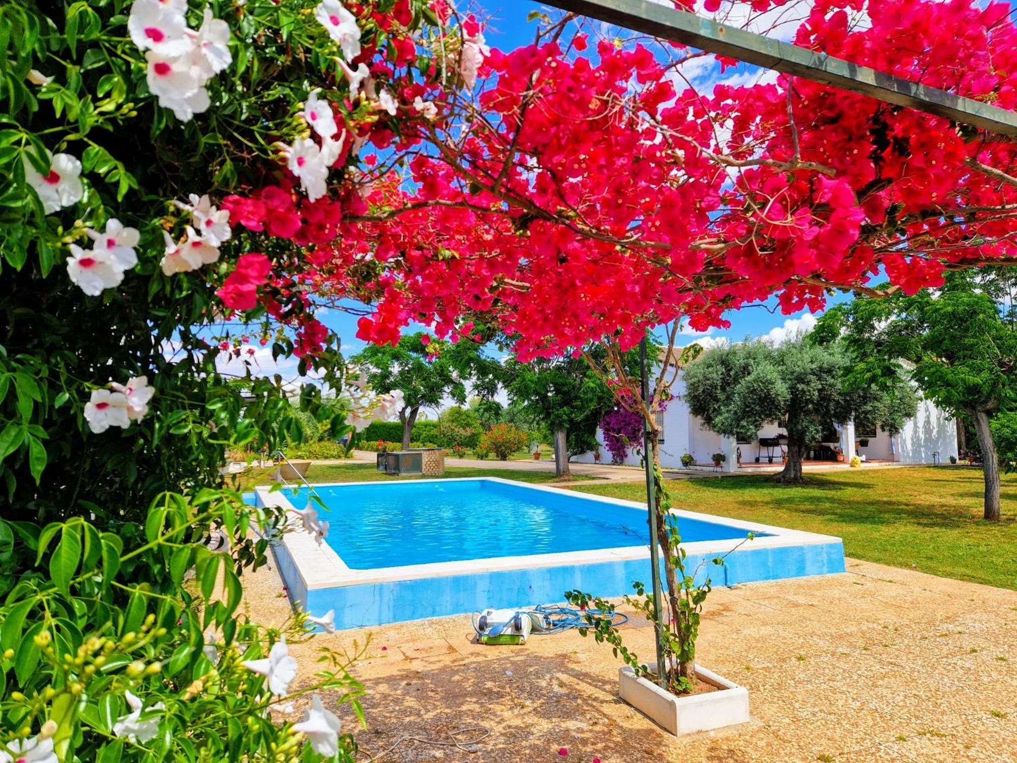 Casa En El Campo Cerca De Sevilla La Rinconada Esterno foto