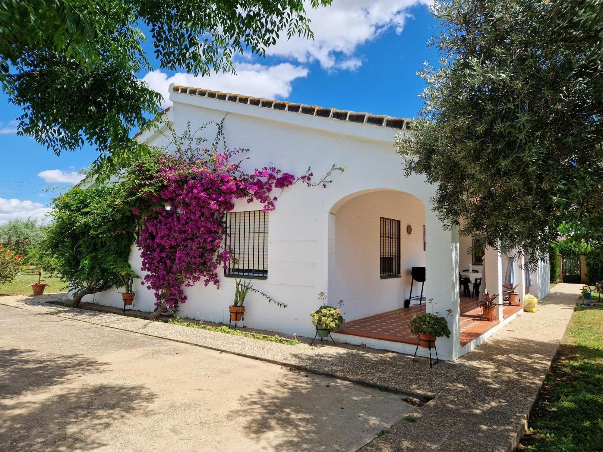 Casa En El Campo Cerca De Sevilla La Rinconada Esterno foto